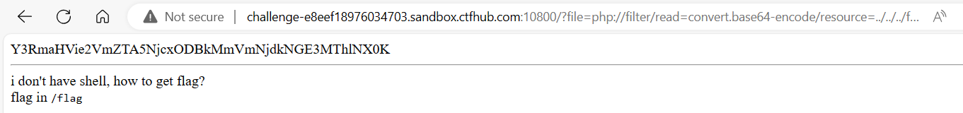 image-20240121165123950
